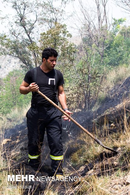 آتش سوزی پارک جنگلی توس نوذر سنندج
