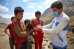 Free vaccination of nomadic livestock