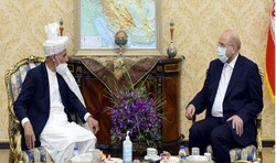 Peace to be ensured by dialogue among Afghan political groups