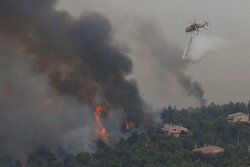 Yunanistan’da orman yangınlarıyla mücadele sürüyor!