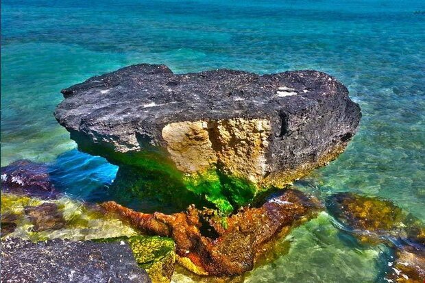 توسعه گردشگری دریایی عزم ملی می‌خواهد/حفظ زیست و تفریح در جزایر