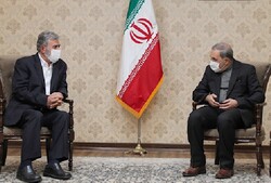Cause of instability, insecurity must be expelled from region