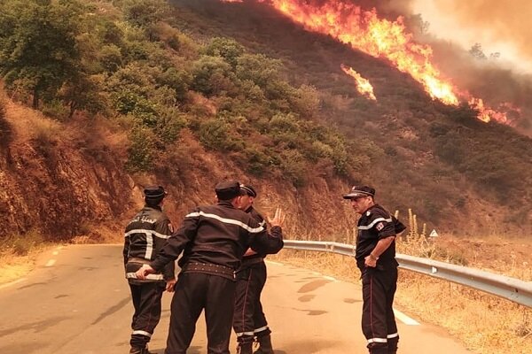 Cezayir'de orman yangını: 4 ölü, 3 yaralı