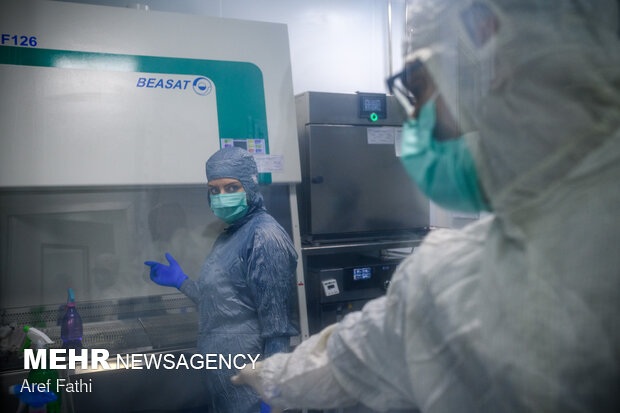 خط تولید واکسن کوو ایران برکت