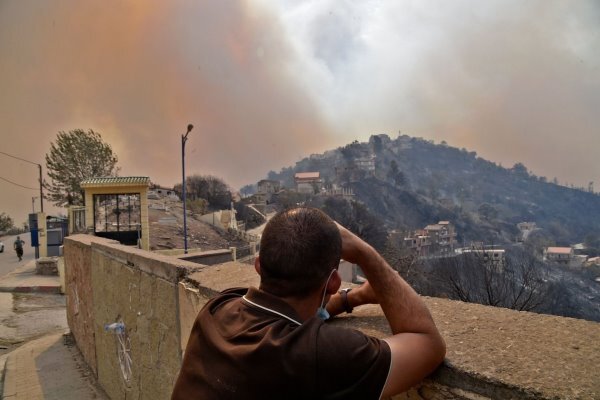 Cezayir'de orman yangınlarında 25 asker ve 17 sivil hayatını kaybetti