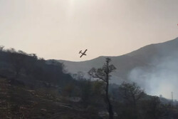 Italian wildfires threaten UNESCO-Protected beech forests