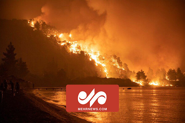 تصاویر آخر الزمانی و نابودی حیوانات در آتش سوزی یونان