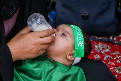 VIDEO: Hosseini infants ceremony in Imam Reza (PBUH) shrine