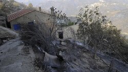 تخلیه گسترده مناطقی از اسپانیا بر اثر گسترش آتش سوزی