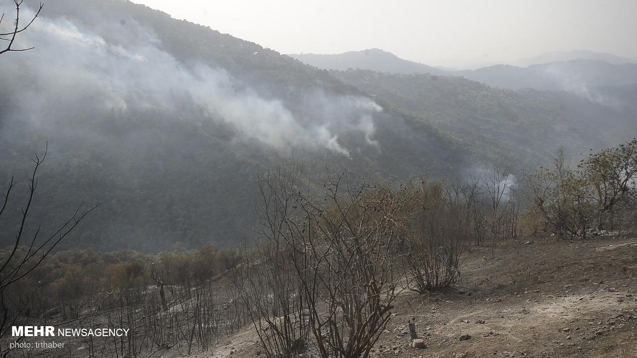 گسترش آتش در پارک ملی گلستان/وزش باد و غبار اطفای حریق را سخت کرد