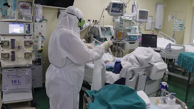۸۲۷ بیمار در بخش‌های کرونایی بوشهر بستری هستند/ ثبت ۱۴ فوتی جدید
