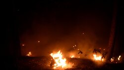 VIDEO: wildfires in California's Caldor