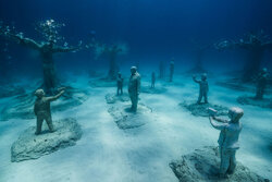 جنگلی شگفت‌انگیز زیر آب در قبرس