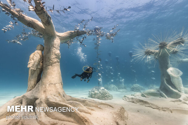جنگلی شگفت‌انگیز زیر آب در قبرس