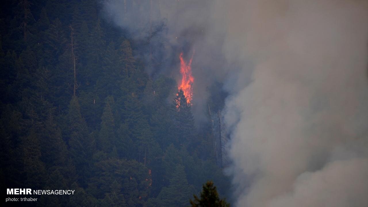 مهار آتش سوزی در جنگل های سیاهکل/ ۲ تیم امدادی مشارکت داشتند