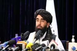 Efforts underway to form new constitution: Taliban