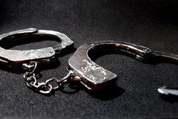 Perpetrators behind martyrdom of police cmdr. in SE arrested