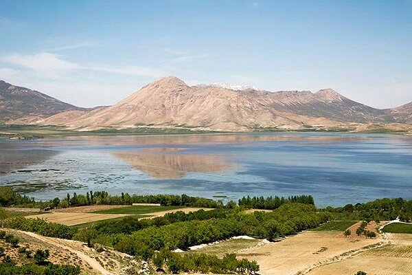 حاشیه تالاب «چغاخور» پاکسازی شد