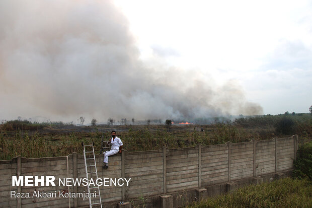 آتش سوزی 5 هکتار از نیزارهای تالاب انزلی