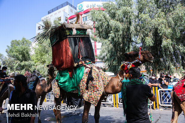 کاروان نمادین اسرای کربلا در قم