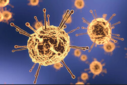 گزارش جامعه اطلاعاتی آمریکا در مورد منشأ ویروس کرونا منتشر شد