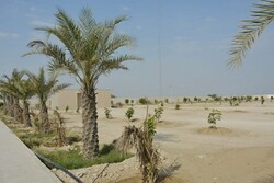 وضعیت آرامستان جدید بوشهر زیبنده نیست/ لزوم تامین امکانات اولیه