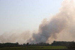 آتش سوزی در نیزارهای تالاب انزلی/ تلاش برای مهار حریق ادامه دارد