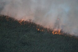 آتش سوزی در ۴ هزار متر مربع از اراضی ارتفاعات ماسوله/ حریق مهار شد