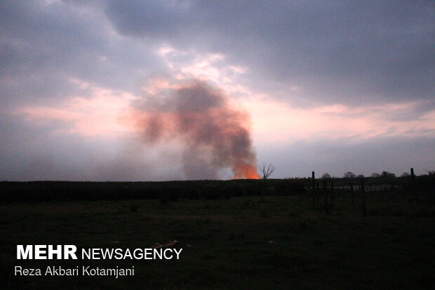 Forces mobilized to extinguish wildfire of Anzali Lagoon
