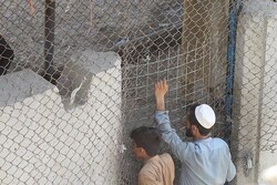 پاکستان هرگز حصارکشی در مرز با افغانستان را بر نمی دارد