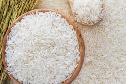 تقلب در فروش برنج ایرانی در یزد کشف شد