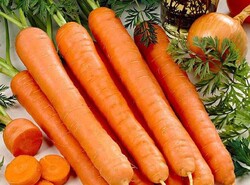 قیمت هویج کاهش یافت/ نرخ به ۱۲ هزار تومان رسید