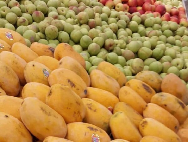 صادرات میوه و تره‌بار فصلی به افغانستان بزودی برقرار می شود