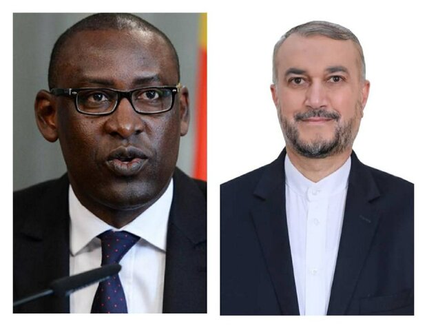 Malian FM congratulates new Iranian foreign minister