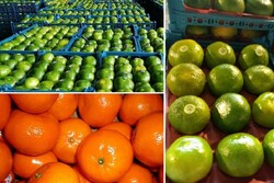 گرانفروشی میوه به سبک شرکت های بسته بندی/ عرضه محصول به ۳ برابر قیمت واقعی
