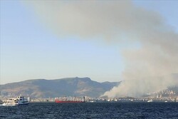 İzmir'in Karşıyaka ilçesinde orman yangını çıktı