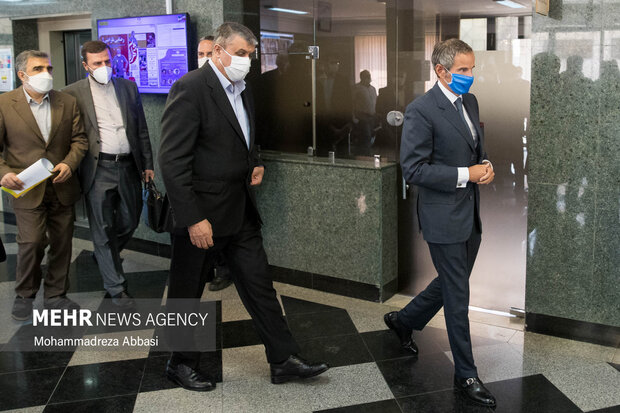 AEOI, IAEA chiefs hold meeting
