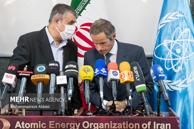 AEOI, IAEA chiefs hold meeting
