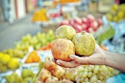 Russian scientific development to detect poison in fruits