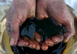 قیمت نفت برنت به ۱۱۳.۳۴ سنت رسید