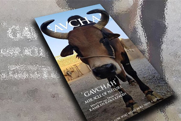 ‘Gavchah’ finds way to Autumn in Voronet Intl. Film Fest