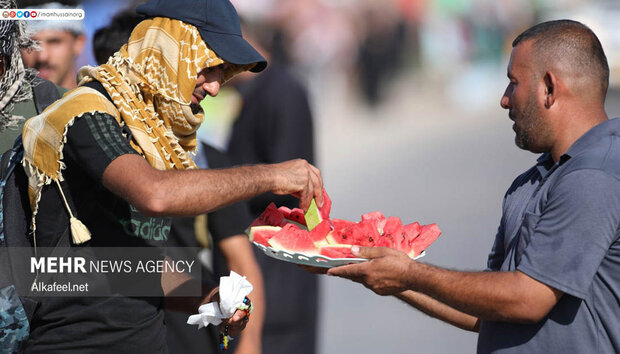 Arbaeen pilgrims on way to Karbala