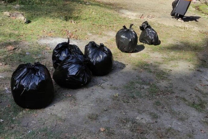 جنگل توسکستان از زباله پاکسازی شد