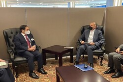 Iranian, Vietnamese FMs review bilateral relations