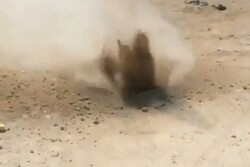 ماجرای جوشیدن خاک در بوشهر/ موضوع مربوط به نشت گاز است