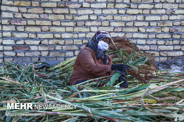 Traditional broom making in Khorasan