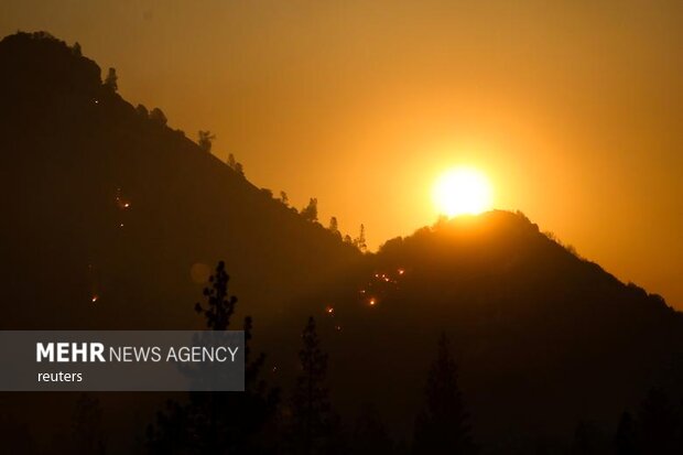 محاولة لإنقاذ الغابات في كاليفورنيا من الحرائق/ بالصور