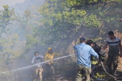 مهار حریق جنگل های مازندران/ حریق به ۱۰ مغازه در نور آسیب زد