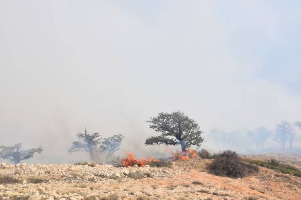 سیطره دود و آتش در جنگل های کردکوی/عملیات اطفاء به روز سوم رسید