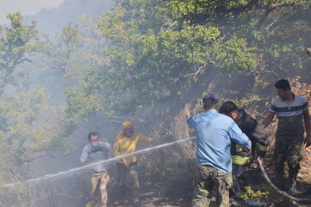 بررسی علل آتش سوزی در جنگل «درازنو» ادامه دارد